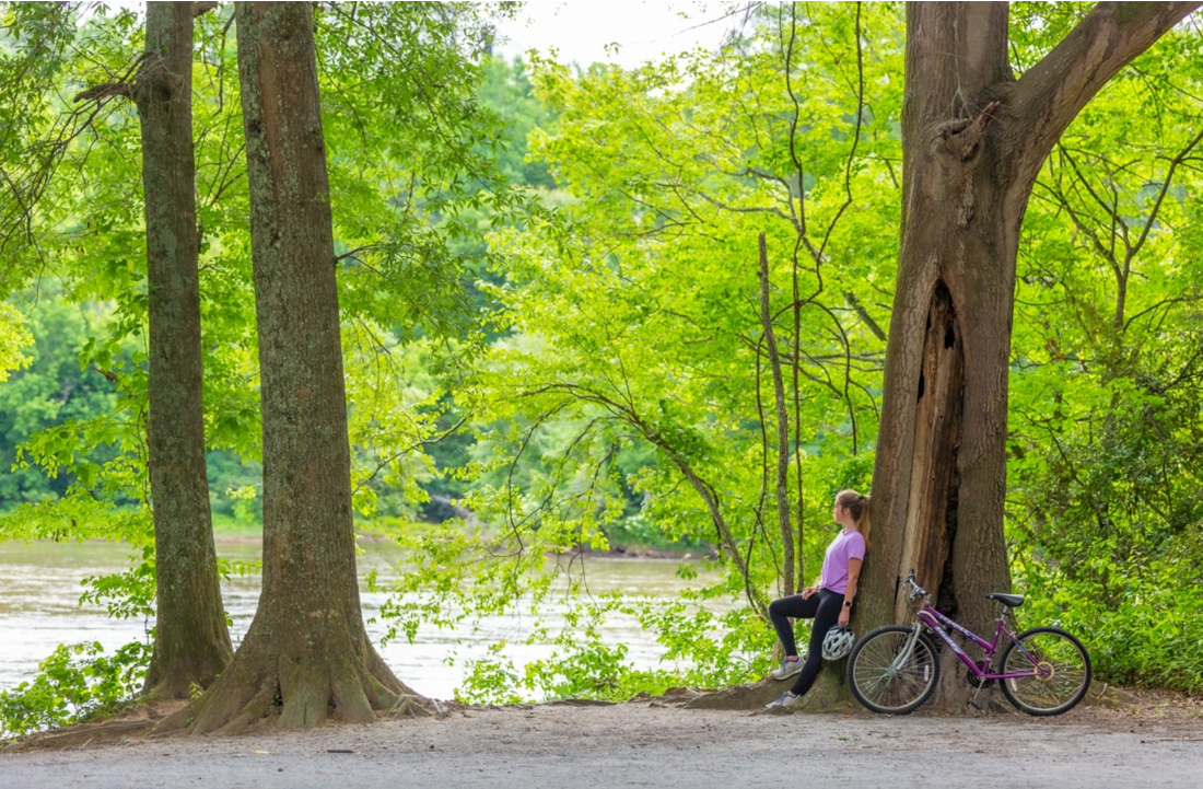 Chattahoochee River Trails