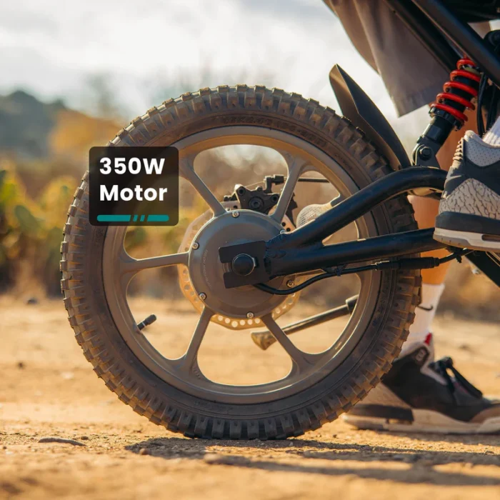 Fitz16 Electric Dirt Bike for Kids - 350W Motor