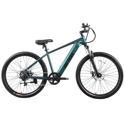 Gotrax D1RT Electric Mountain Bike