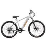 Gotrax D1RT Electric Mountain Bike (Grey)