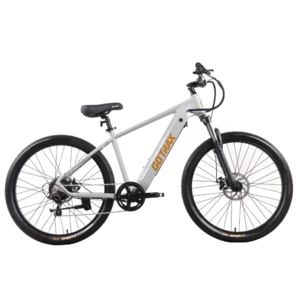 Gotrax D1RT Electric Mountain Bike (Grey)
