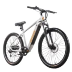Gotrax D1RT Electric Mountain Bike (Grey) Front View