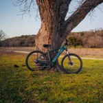 Gotrax D1RT Electric Mountain Bike Natural View