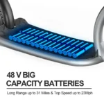 Hiboy VE1 Pro Batteries