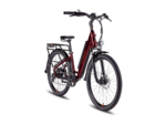 RadCity 5 Plus Electric Commuter Bike Front View