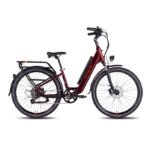 RadCity 5 Plus Electric Commuter Bike