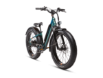 RadRover 6 Plus Electric Fat Tire Bike Front View