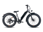 RadRover 6 Plus Electric Fat Tire Bike Side View