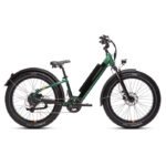 RadRover 6 Plus Electric Fat Tire Bike