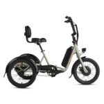 RadTrike Electric Tricycle