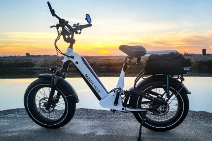 Deer 2.0 Step-Thru Torque Sensor - Riding