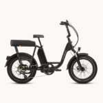 RadRunner™ Plus Electric Cargo Utility