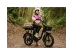 RadRunner™ Plus Electric Cargo Utility Bike Model