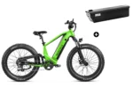 Bundle Sale - Magicycle Deer Step-over E-Bike With An Extra 20Ah Battery -