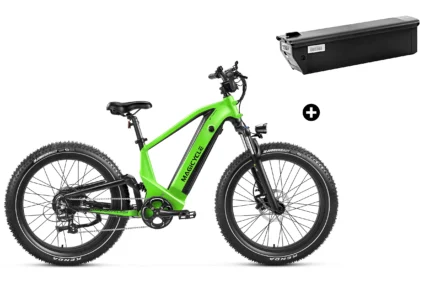 Bundle Sale - Magicycle Deer Step-over E-Bike With An Extra 20Ah Battery -