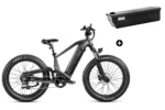 Bundle Sale - Magicycle Deer Step-over E-Bike With An Extra 20Ah Battery - Space Gray