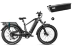Bundle Sale - Magicycle Deer Step-over E-Bike With An Extra 20Ah Battery - Space Gray