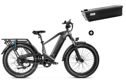 Bundle Sale - Magicycle Deer Step-over E-Bike With An Extra 20Ah Battery - Space Gray