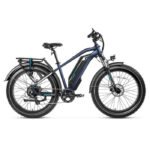 Magicycle 52V 20Ah Cruiser Pro Step-Over Ebike Cruiser