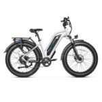 Magicycle Cruiser Pro E-Bike With A Second Battery - Step-thru Bundle Sale -