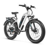 Magicycle Cruiser Pro E-Bike With A Second Battery - Step-thru Bundle Sale - - Image 6