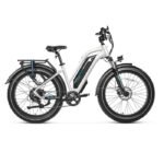 Magicycle Cruiser Pro E-Bike With A Second Battery - Step-thru Bundle Sale - - Image 7
