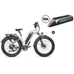 Magicycle Cruiser Pro E-Bike With A Second Battery - Step-thru Bundle Sale - - Image 2