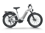 Cruiser Pro Electric Bike