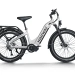 Cruiser Pro Electric Bike