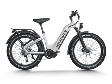 Cruiser Pro Electric Bike