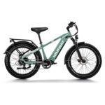 Himiway D5(Zebra) / Premium All-terrain Electric Fat Bike - Green