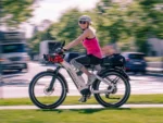 D5(Zebra) : Premium All-terrain Electric Fat Bike Riding