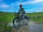 D5(Zebra) : Premium All-terrain Electric Fat Bike Riding