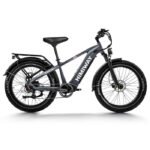 Himiway D5(Zebra) / Premium All-terrain Electric Fat Bike - Space Grey