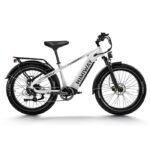 Himiway D5(Zebra) / Premium All-terrain Electric Fat Bike - White