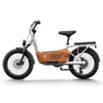 Himiway C3 Cargo E-Bike | 80-Mile Range