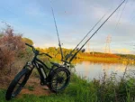 Himiway D3 Cruiser Electric Fat Tire Bike - Fishing