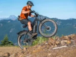 Himiway D3 Cruiser Electric Fat Tire Bike - Mountain