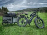 Himiway D3 Cruiser Electric Fat Tire Bike - Travelling