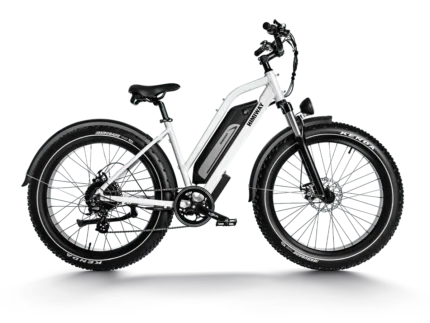 Himiway D3 ST (Cruiser ST)