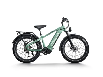 Himiway D5 Pro Premium All-Terrain Electric Fat Bike - Green