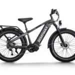 Himiway D5 Pro Premium All-Terrain Electric Fat Bike - Space Grey