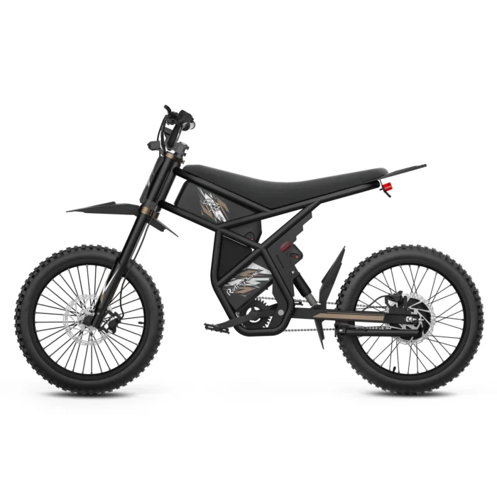 GT73 Pro Electric Motorbike - View