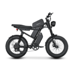 Z8 Electric Bike – 750W, Fat Tires