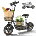 FREEBOY H14 Electric Scooter - H14-38V 10Ah