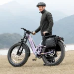 Hiboy EX11 Full Suspension Electric Bike - Hiboy