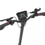 Kaabo Mantis X Plus Electric Scooter - Display