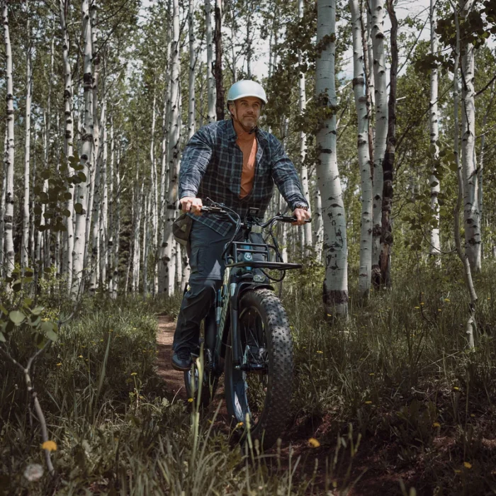 Gotrax Alpine Fat Tire eBike - Image 13