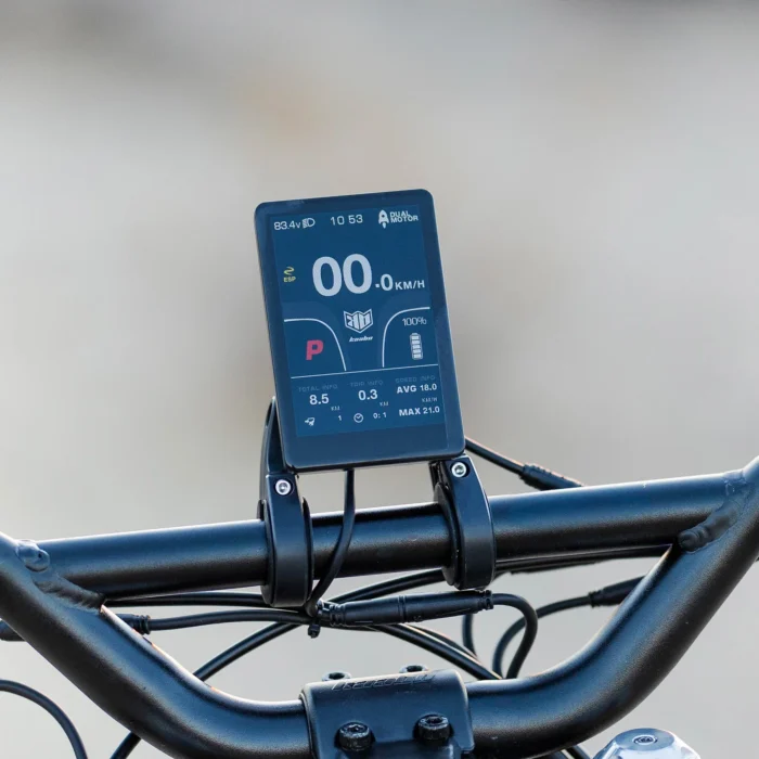 Kaabo King GTR Electric Scooter - Display