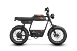 Riding Times GT33 Cargo Electric Bike